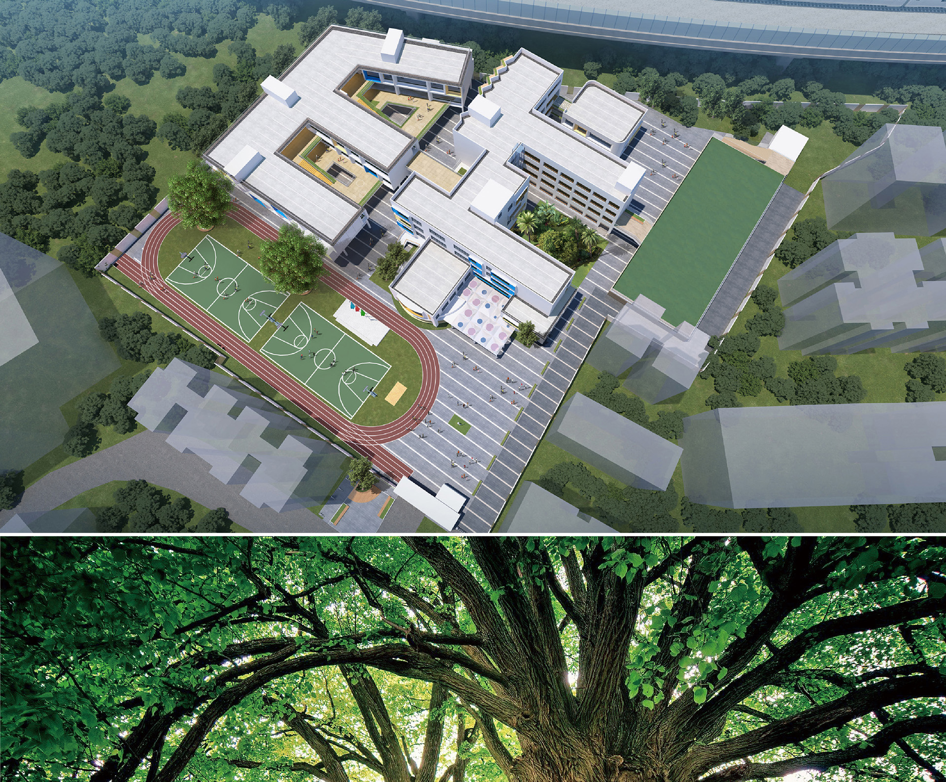 珠光小学2_画板-1_01.jpg