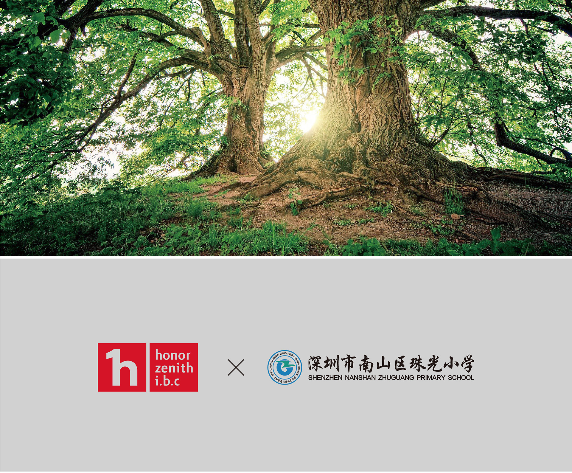 珠光小学2_画板-1_02.jpg